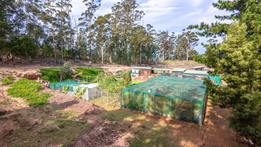 Commercial Property for Sale in Sedgefield Rural Western Cape